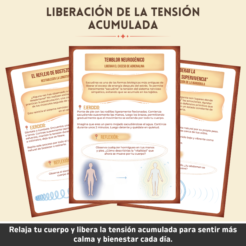 Cuaderno Terapéutico De Regulación Somática - Restablece Tu Sistema Nervioso De Forma Natural