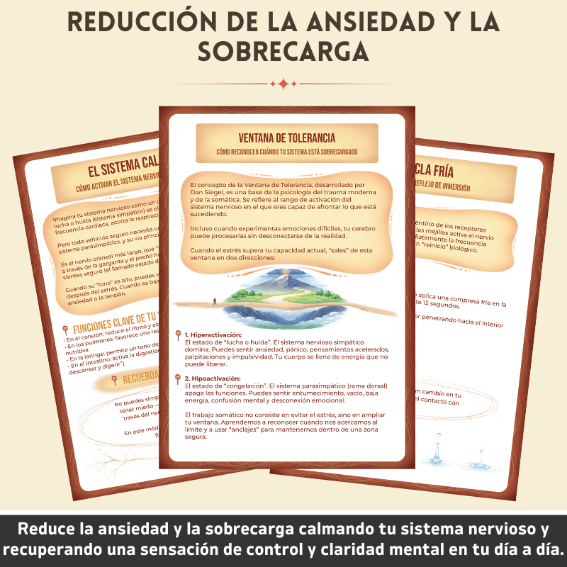 Cuaderno Terapéutico De Regulación Somática - Restablece Tu Sistema Nervioso De Forma Natural