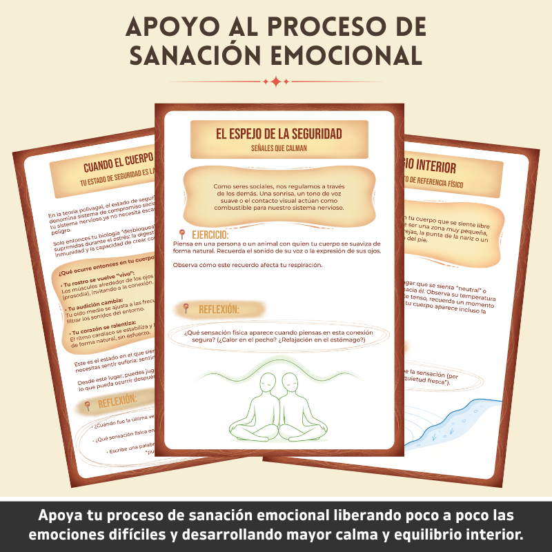 Cuaderno Terapéutico De Regulación Somática - Restablece Tu Sistema Nervioso De Forma Natural